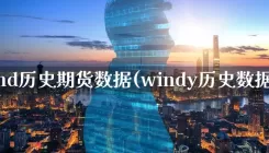wind历史期货数据(windy历史数据)