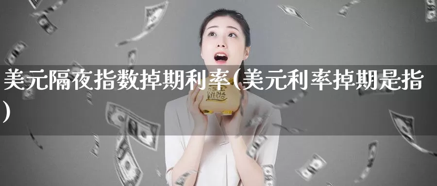 美元隔夜指数掉期利率(美元利率掉期是指)_https://www.yuanchenjituan.com_内盘期货_第1张