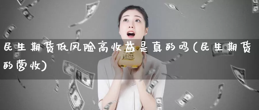 民生期货低风险高收益是真的吗(民生期货的营收)_https://www.yuanchenjituan.com_纳指期货_第1张