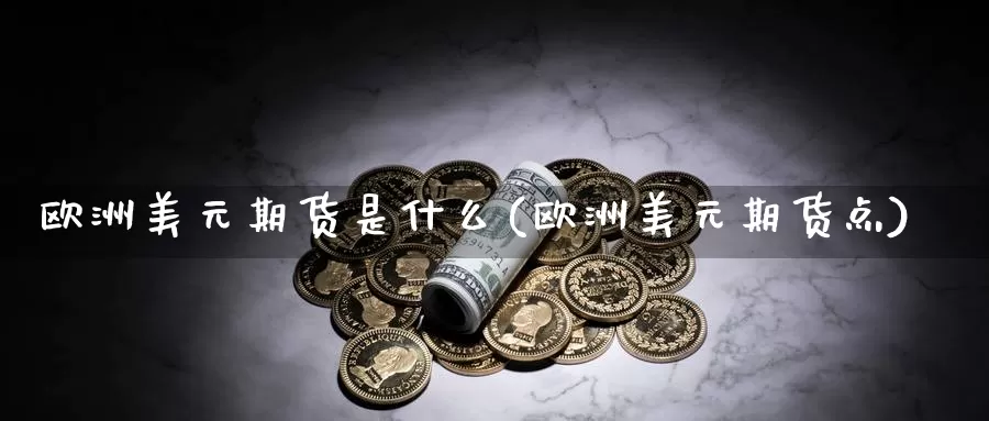 欧洲美元期货是什么(欧洲美元期货点)_https://www.yuanchenjituan.com_外盘期货_第1张
